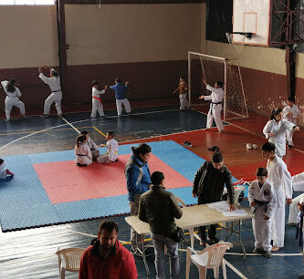 Gimnasio Municipal Teodoro Schmidt