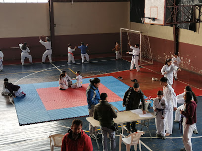 Gimnasio Municipal Teodoro Schmidt