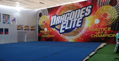 Gimnasio Academia Dragones Elite