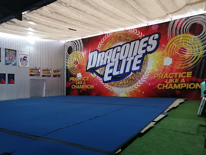 Gimnasio Academia Dragones Elite