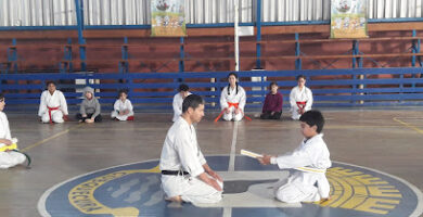 Dojo Kimoshi Shotokai Karate-do y Aikijujitsu Quirihue (Akdes)