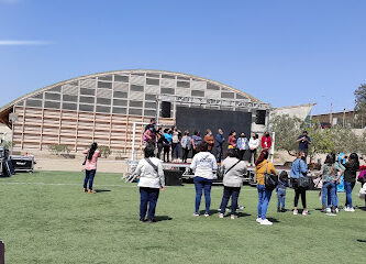 Gimnasios Polideportivos De La UTA