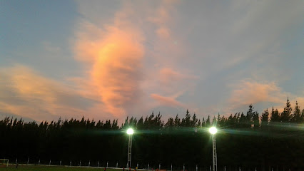 Estadio Municipal de Los Antiguos