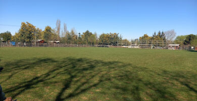 Cancha nacional de cato