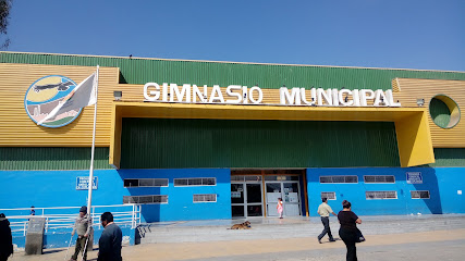 Gimnasio Municipal TECHADO