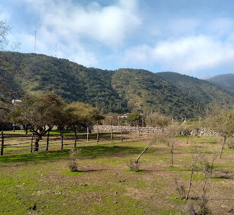 Cancha Club Deportivo Quebrada Alvarado