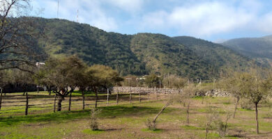 Cancha Club Deportivo Quebrada Alvarado