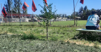 Cancha El Roto Chileno