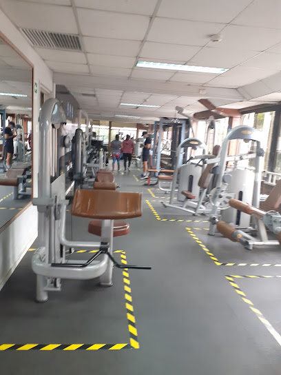 Gimnasio Wellness Club