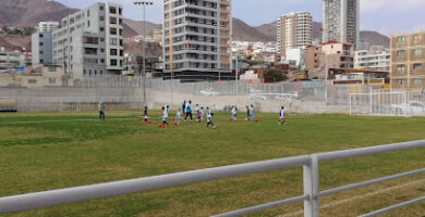 Cancha 4 Estadio Calvo Y Bascuñan