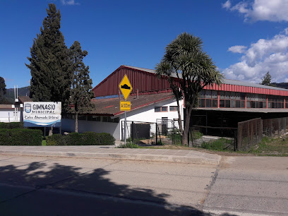 Gimnasio Municipal