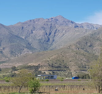 Viña Choapa