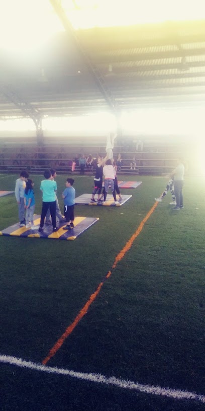 Gimnasio Ricardo Espinosa